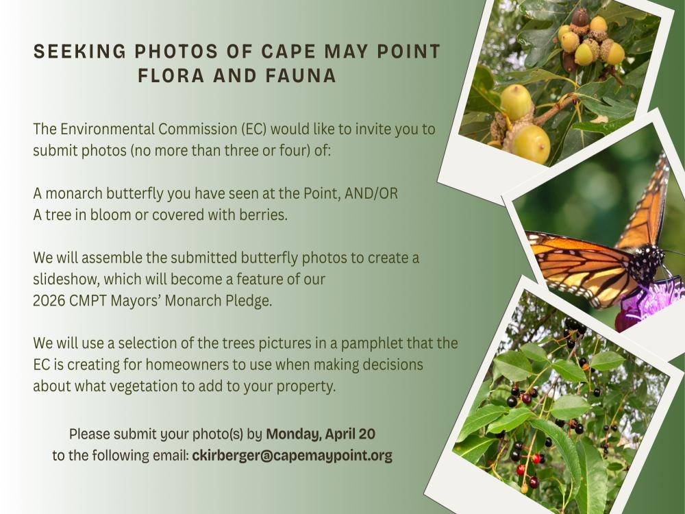 Seeking Photos of Cape May Point Flora and Fauna.png